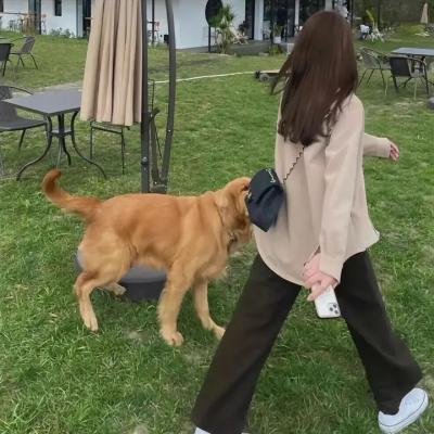我和我的他们